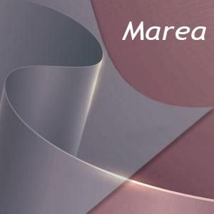Marea evőeszköz család