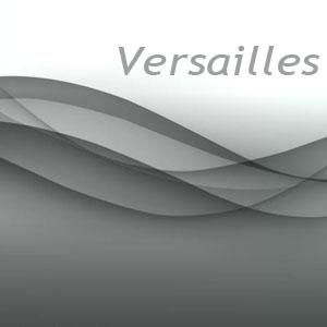 Versailles evőeszköz család