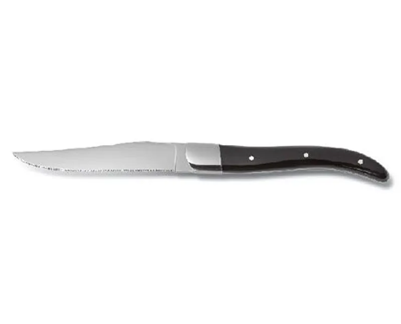 ACR Black steak kés rozsdamentes acél, műanyag nyéllel