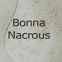 Bonna Nacrous porcelánok